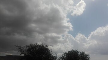 Врач Уланкина: в пасмурную погоду витамина D становится мало