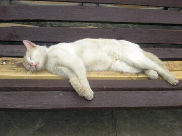 Врач Ли: сон на боку избавит от храпа