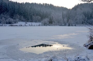 Врач Морозова запретила окунаться в прорубь при эпилепсии