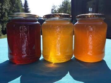 Pravda.Ru: мед улучшит работу сердца