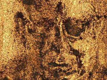 В Новосибирске врач рассказала о росте психических заболеваний на фоне СВО