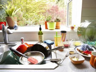 Сколько микробов на вашей кухне? Кухонные отравления