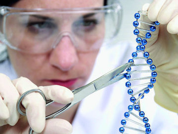 Редактирование генома поможет людям стать долгожителями