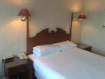 Технолог Золотарева: в подушках могут размножаться грибок и пылевые клещи