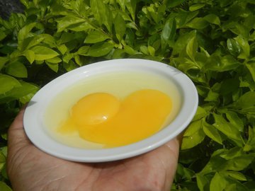 The Conversation: холестерин из фастфуда опаснее, чем из яиц