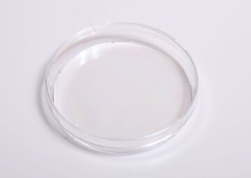 Гинеколог Афанасьева: уреаплазма не требует лечения