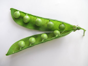 Врач Малышева: язык по-ижевски снижает уровень холестерина