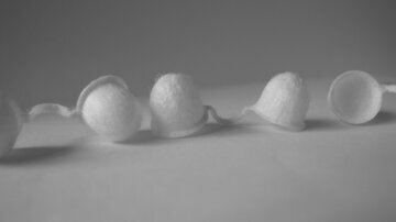 Врач Лапа: назальные фильтры защитят от простуды при болеющем домочадце