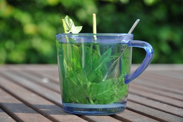 Врач Роккио: чай из гибискуса повышает эластичность кожи