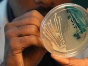 Вредные бактерии можно распознать по вкусу