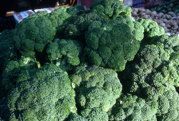 Дерматолог Баранова призвала потреблять брокколи для здоровья глаз