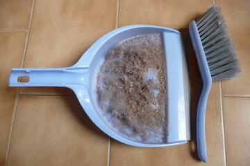 Врач Логина: уборка в доме не избавит от аллергии на пыль