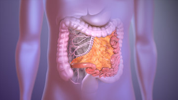 Малышева: аппендицит сопровождается повышением температуры