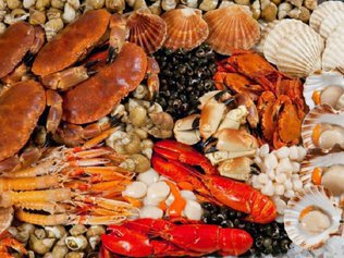 В чем польза морепродуктов? Они убьют стресс...
