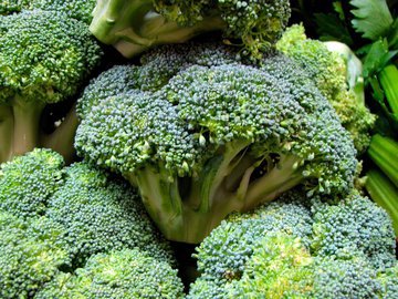 Диетолог Расмуссен: польза от брокколи выше при употреблении в сыром виде
