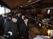 Экоферма в Подмосковье пока всего одна