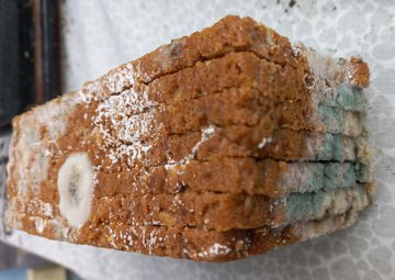 Технолог Гертле-Загорская: еда с неприятным запахом вызывают рак