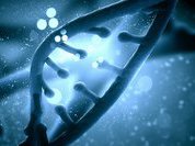 Нашу смерть могут предсказать ДНК, тесты и друзья
