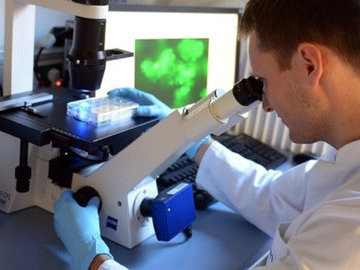 Открытие: обнаружены особые клетки, способные лечить поврежденное сердце