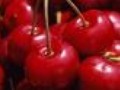 Вишня защищает сердце от болезней