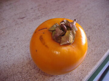 Диетолог Соломатина запретила есть хурму при гастрите