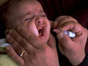 SOS! Эпидемия полиомиелита добралась до России