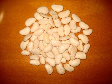 Диетолог Писарева: бобовые насытят белком во время поста