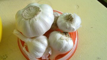 Диетолог Галан: чеснок ускорит выздоровление при ОРВИ