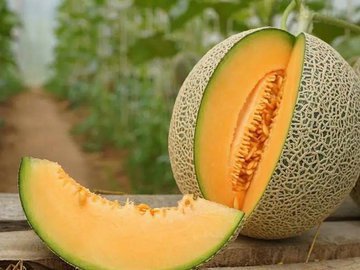 Врач рассказала, можно ли диабетикам дыню