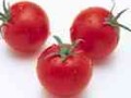 В Британии вывели сорт помидоров для борьбы с раком
