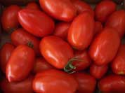 Британские ученые установили, какие самые полезные продукты.