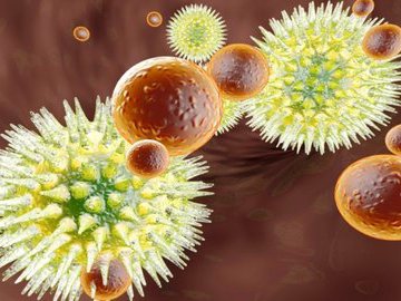 Бактерии носоглотки снижают шанс заразиться гриппом