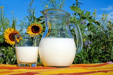Доцент Ионова: молочкой можно заменить до 40 процентов суточного рациона