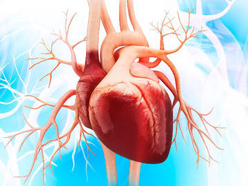 Открытия, положившие конец сердечным приступам. Часть 3