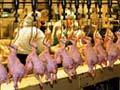 Москвичей призывают не покупать мясо птицы с рук