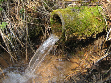 Малышева: гепатитом можно заразиться от родниковой воды
