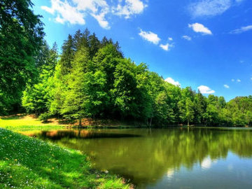 Созерцание природы подавляет тягу к алкоголю и сигаретам