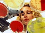 Туберкулёз и лекарственная устойчивость: поиск решений через партнёрство