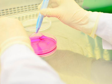 В Бурятии создан уникальный аналог живой кожи