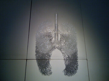 Врач Цагараева: отказ от курения защитит от ХОБЛ