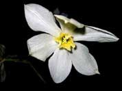 Нарциссизм — порок или заболевание?