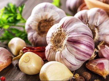 Влияние чеснока на уровень холестерина. Что говорят исследования?