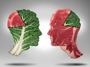 Почему вегетарианство вредит уму?