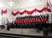 Созданы искусственные голосовые связки