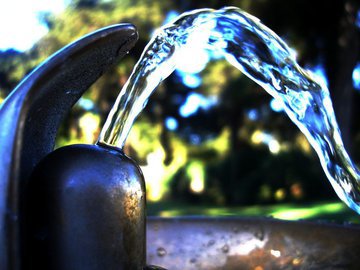 Врач Денисова: сок и чай не считаются водой