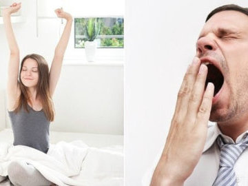 Исследователи обнаружили между "совами" и "жаворонками" генетические отличия