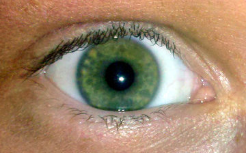 Офтальмолог Павлова: гимнастика для глаз избавит от сухости