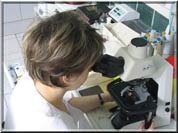 В России создадут систему контроля лекарств