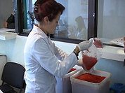 Красная икра с опасным сюрпризом