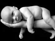 Ущерб от террора "Аль -Каиды" не сравним с ущербом от абортов